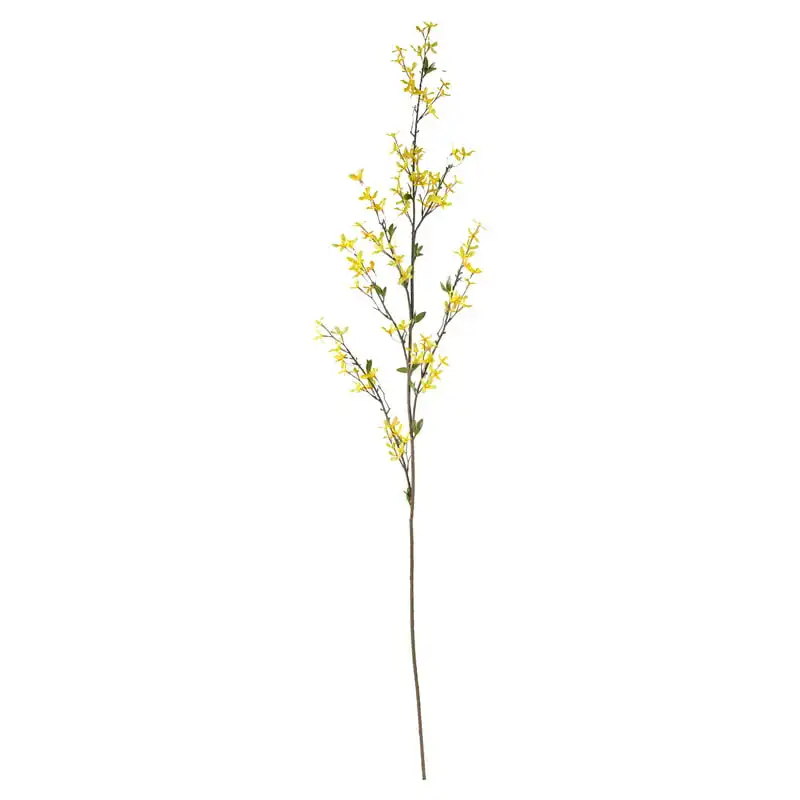 Forsythia Artificial Flower (Set of 3), Yellow Bouquet holder Leaves Eucalyptus garland Artificial flowers for decorations Cotta 
Forsythia Artificial Flower (Set of 3), Yellow Bouquet holder Leaves Eucalyptus garland Artificial flowers for decorations Cotta