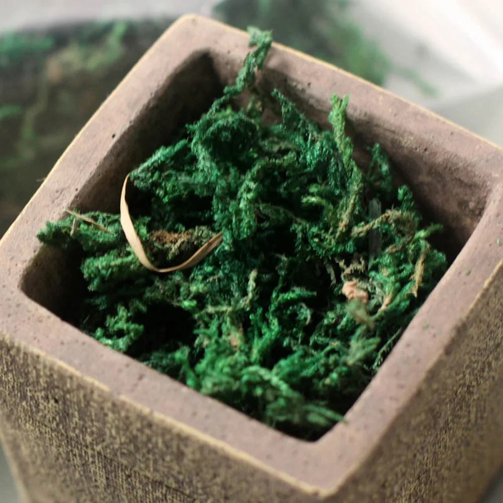 Artificial Moss Fake Plants Fake Moss Pad Artificial Greenery Mats Mountain Moss Preserved Artificial Moss Patio Decor Faux Moss
Artificial Moss Fake Plants Fake Moss Pad Artificial Greenery Mats Mountain Moss Preserved Artificial Moss Patio Decor Faux Moss