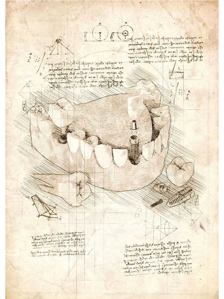 Картина на холсте, Витрувианский человек, стоматологическая анатомия
Картина на холсте, Витрувианский человек, стоматологическая анатомия