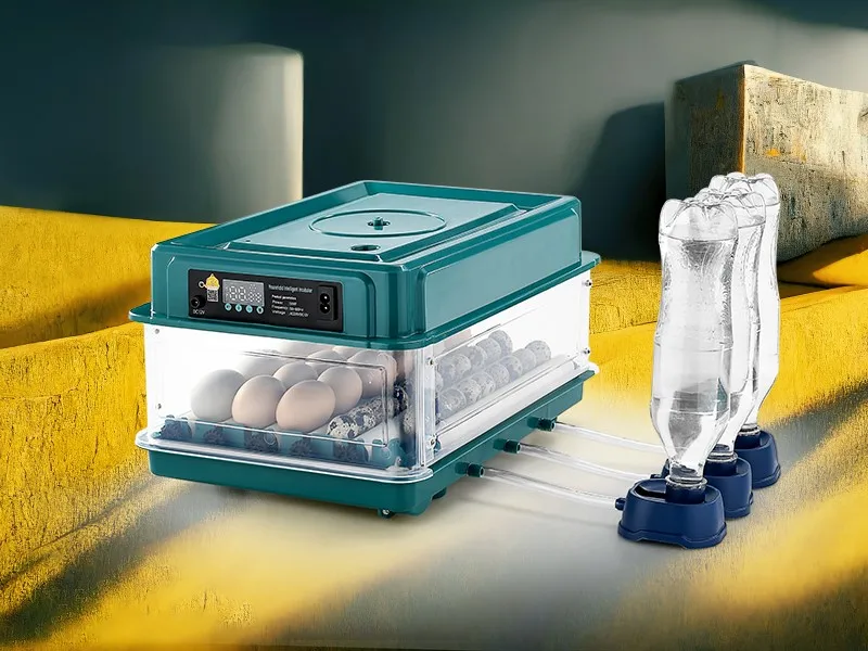 6/12 Hatcher Eggs Incubator Brooder Automatic Farm Incubation Tools Bird Quail Chick Hatcher Farm Hatcher Poultry Hatcher Turner
6/12 Hatcher Eggs Incubator Brooder Automatic Farm Incubation Tools Bird Quail Chick Hatcher Farm Hatcher Poultry Hatcher Turner