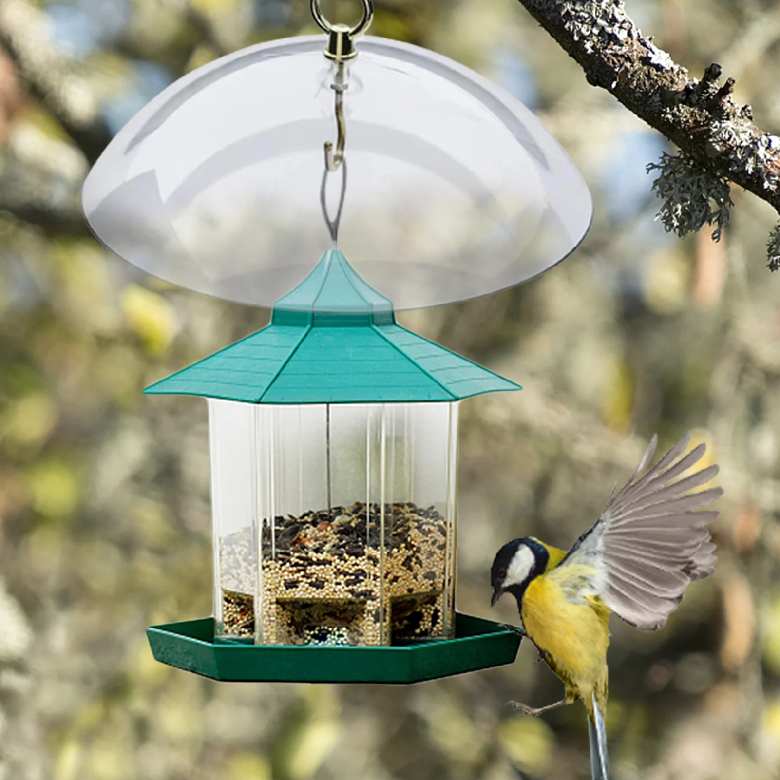 Baffle For Bird Feeders Weather Guard Protective Dome For Rain Snow Sun Mealworm Feeders Cover For Squirrel Hummingbird Bluebird
Baffle For Bird Feeders Weather Guard Protective Dome For Rain Snow Sun Mealworm Feeders Cover For Squirrel Hummingbird Bluebird