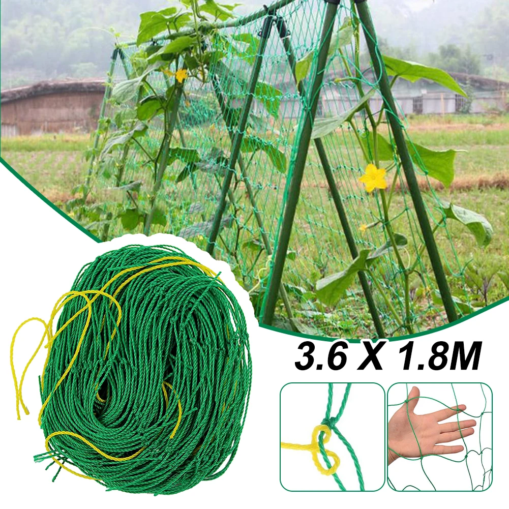 Trellis Netting Climbing Plants Nylon Garden Plants Climbing Net Plants Grow Healthily For Vegetables Fruits Tomatoes Cucumber
Trellis Netting Climbing Plants Nylon Garden Plants Climbing Net Plants Grow Healthily For Vegetables Fruits Tomatoes Cucumber