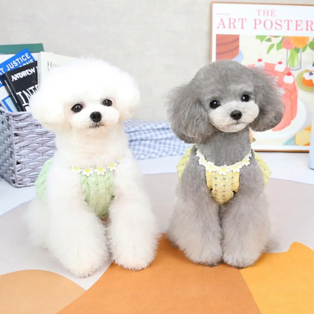 Pet Sling Dress Eye-catching Dog Dress Sweet Wear-resistant Stylish Teddy Chihuahua Small Pet Clothes Lantern Dress
Pet Sling Dress Eye-catching Dog Dress Sweet Wear-resistant Stylish Teddy Chihuahua Small Pet Clothes Lantern Dress