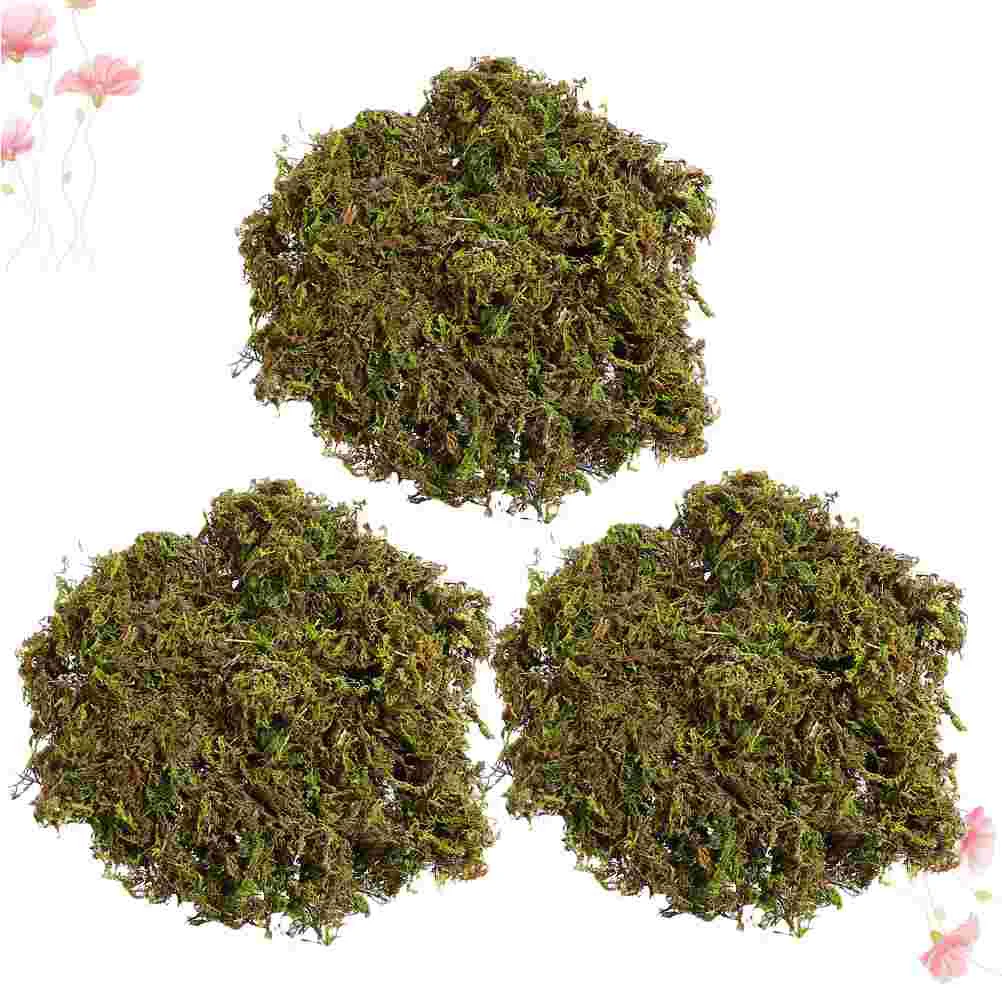 Fake Greenartificialplant Faux Preserved Pot Simulation Garden Diy Craft Dried Flowerpotted Lichen Decor Floral Terrarium Crafts
Fake Greenartificialplant Faux Preserved Pot Simulation Garden Diy Craft Dried Flowerpotted Lichen Decor Floral Terrarium Crafts