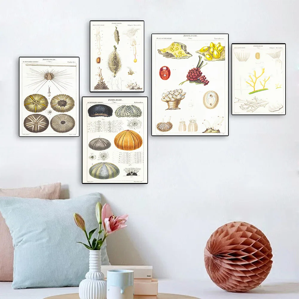 Retro art marine animal coral canvas wall art marine biology science and education poster living room home decoration mural
Retro art marine animal coral canvas wall art marine biology science and education poster living room home decoration mural
