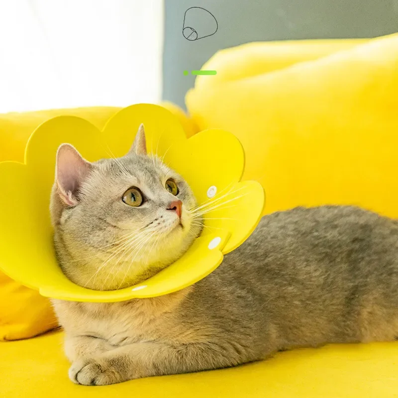 Cat Dog Anti Bite Lick Ring Cover Pet Flower Protection Felt Neck Collar Recovery Collar Beauty Adjustable Protector Cover Ring
Cat Dog Anti Bite Lick Ring Cover Pet Flower Protection Felt Neck Collar Recovery Collar Beauty Adjustable Protector Cover Ring