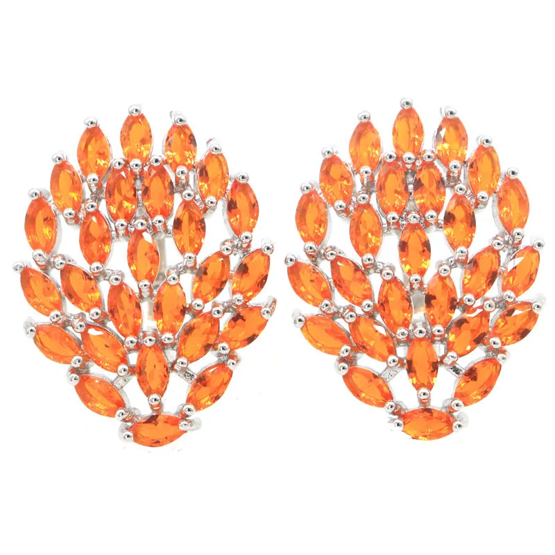 27x20mm Gorgeous Pink Kunzite Orange Spessartine Garnet Jewelry For Woman's Silver Earrings
27x20mm Gorgeous Pink Kunzite Orange Spessartine Garnet Jewelry For Woman's Silver Earrings