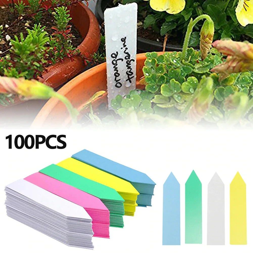 100Pcs/Set Garden Plant Labels Plastic Bonsai Name Tag Nursery Markers Record Flower Tray Colorful Sorting Mark Sign
100Pcs/Set Garden Plant Labels Plastic Bonsai Name Tag Nursery Markers Record Flower Tray Colorful Sorting Mark Sign