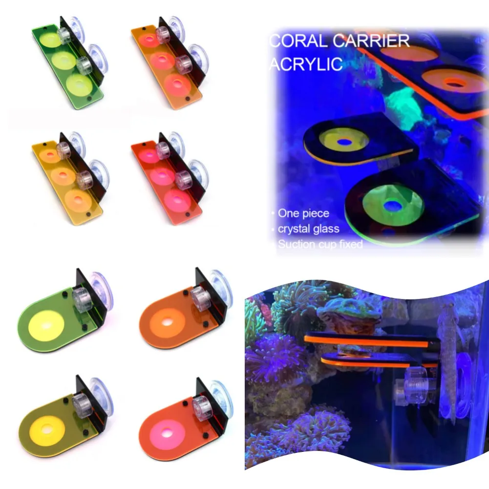 Fluorescence Coral Frag Rack Decoration Acrylic Marine Aquarium Reef with Plugs Holder Suction Cup Accessories
Fluorescence Coral Frag Rack Decoration Acrylic Marine Aquarium Reef with Plugs Holder Suction Cup Accessories