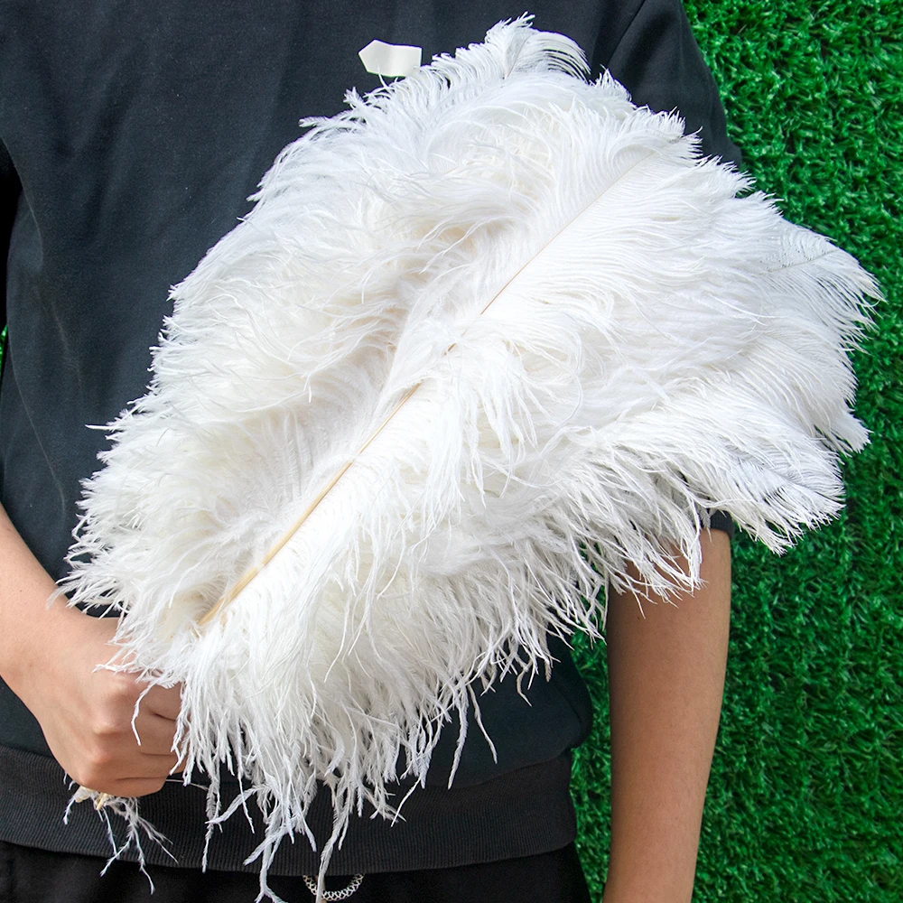 10 Pcs 50-55cm Natural Ostrich Feathers, Decorative Ostrich Plume for DIY Crafts Wedding Party Festival Home Decoration 
10 Pcs 50-55cm Natural Ostrich Feathers, Decorative Ostrich Plume for DIY Crafts Wedding Party Festival Home Decoration