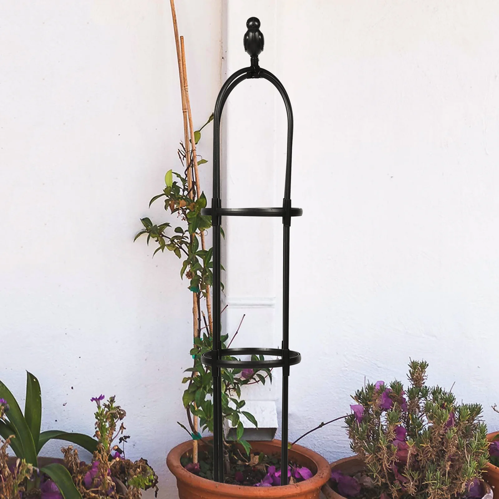 Vine Trellis Outdoor Plants Climbing Flower Vegetable Trellises Support Arbors Clearance
Vine Trellis Outdoor Plants Climbing Flower Vegetable Trellises Support Arbors Clearance