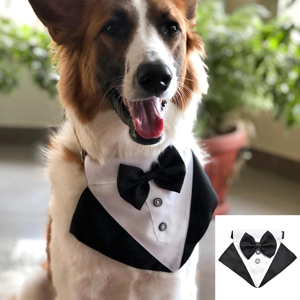 Pet Tuxedo Bow Ties Dog Cat Collars Wedding Neckerchief Triangle Bandana Formal Costume Adjustable Puppy Neck Tie Saliva Towel
Pet Tuxedo Bow Ties Dog Cat Collars Wedding Neckerchief Triangle Bandana Formal Costume Adjustable Puppy Neck Tie Saliva Towel