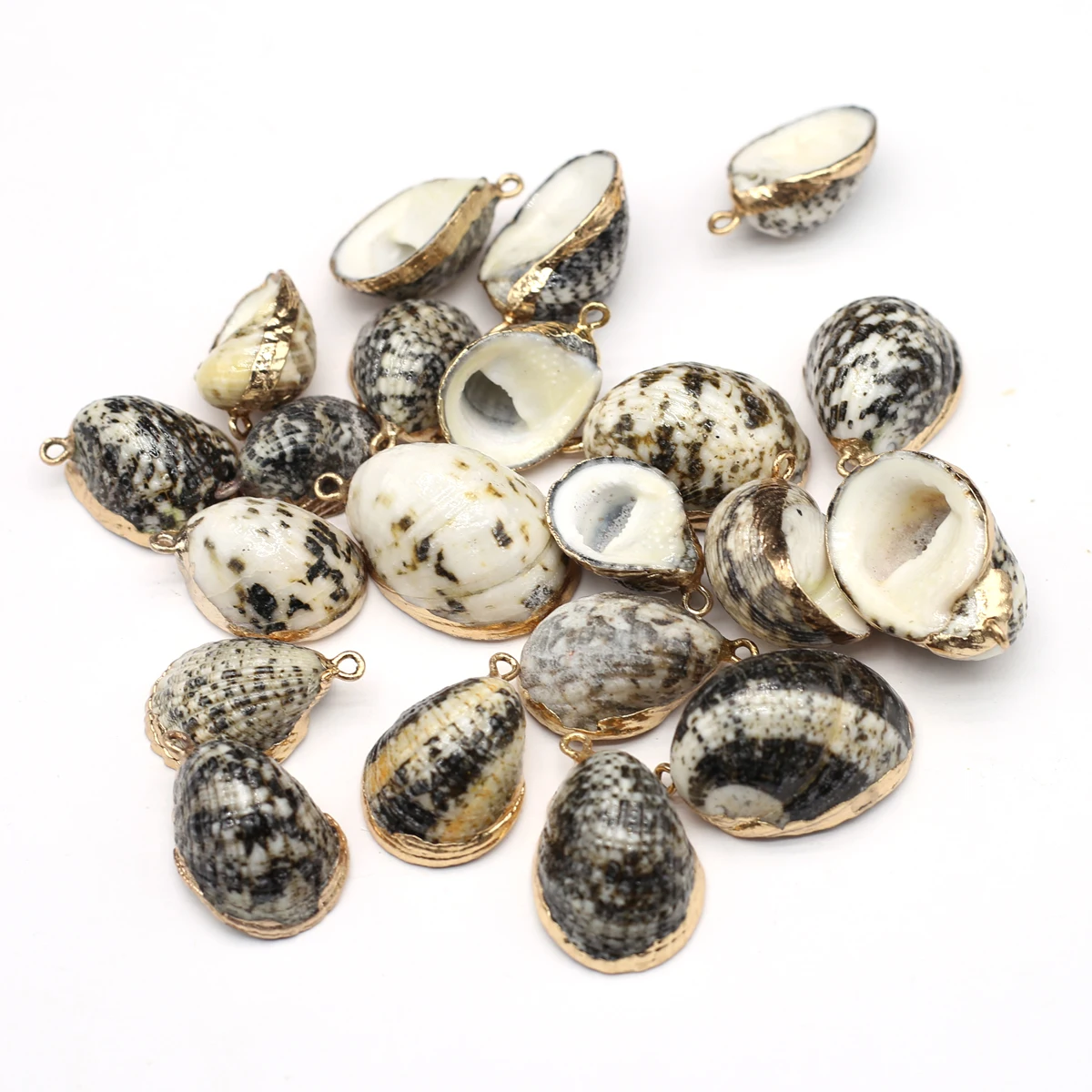 2Pcs Lot Natural Shell Black Conch Pendant Irregular Shellfish Charms for Jewelry Making DIY Necklace Accessories 15x20-25x30mm
2Pcs Lot Natural Shell Black Conch Pendant Irregular Shellfish Charms for Jewelry Making DIY Necklace Accessories 15x20-25x30mm