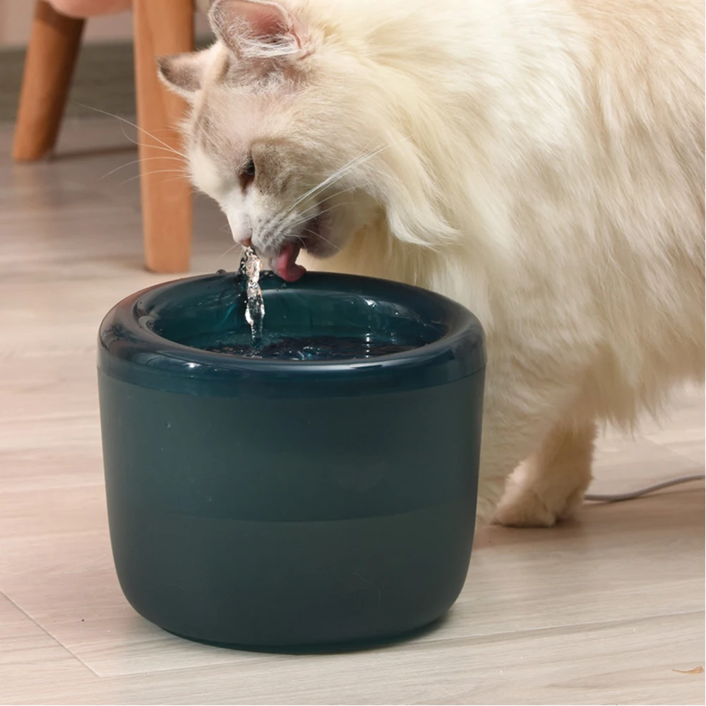 1.6L Cat Water Fountain Filter Indoor Quiet Transparent Electric Water Dispenser Drinker for Cats Automatic Drinking Fountain
1.6L Cat Water Fountain Filter Indoor Quiet Transparent Electric Water Dispenser Drinker for Cats Automatic Drinking Fountain