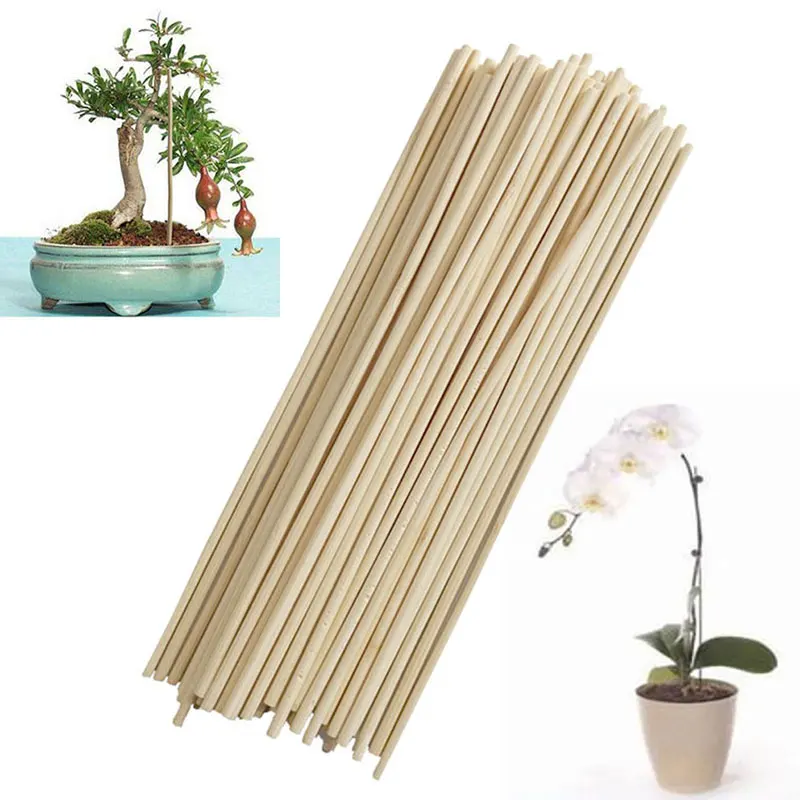 50pcs Wooden Plant Grow Support Plant Stand For Flowers Sticks Cane Stands Vegetable Garden Bonsai Tool 20cm*3mm
50pcs Wooden Plant Grow Support Plant Stand For Flowers Sticks Cane Stands Vegetable Garden Bonsai Tool 20cm*3mm