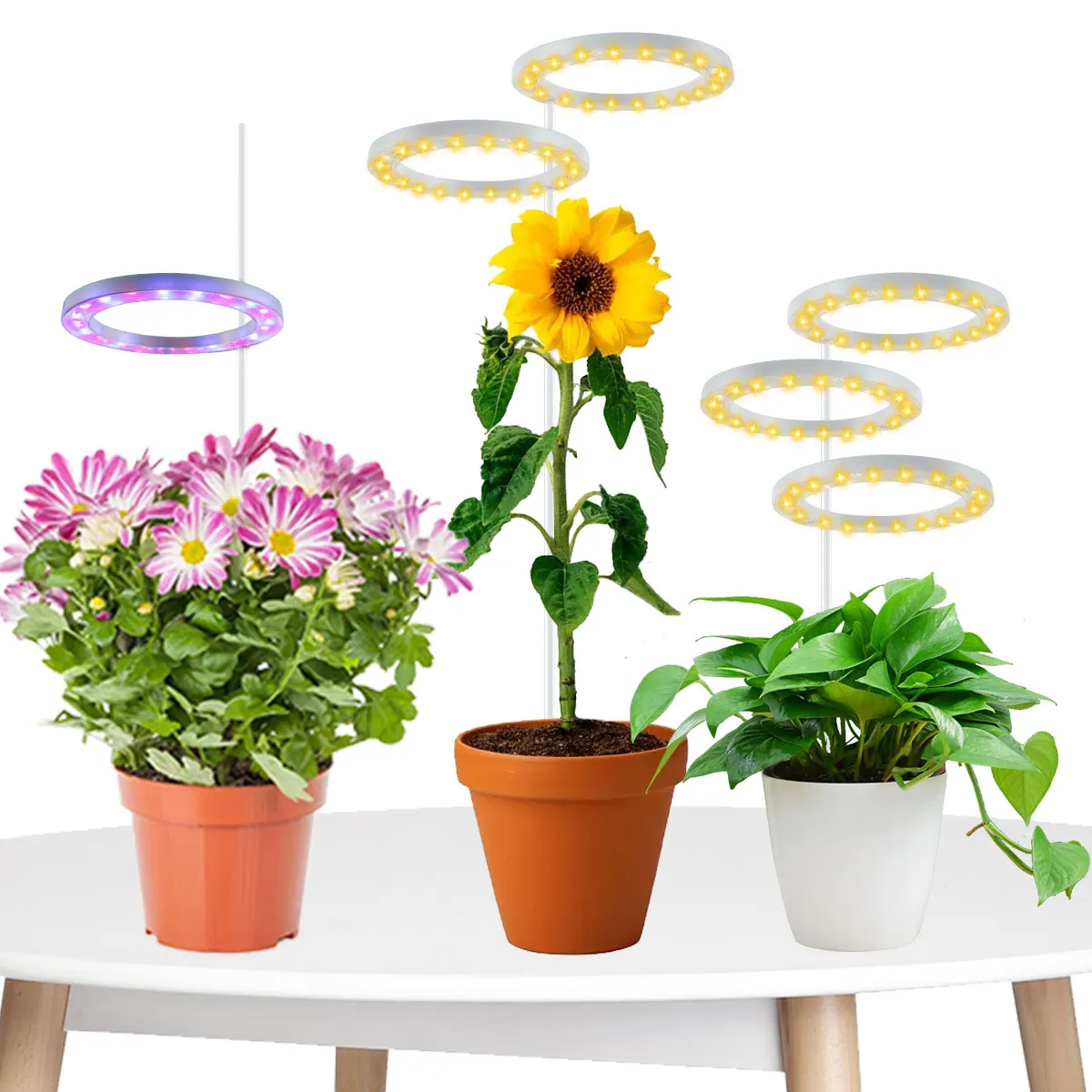 New Grow Light 2500lm Circle LED Plant Light USB Powered Seeding Growing Lamp Ring Angel Ring Grow Plant Light Ring 6000h
New Grow Light 2500lm Circle LED Plant Light USB Powered Seeding Growing Lamp Ring Angel Ring Grow Plant Light Ring 6000h