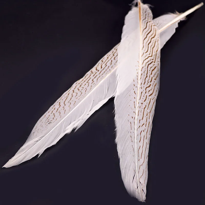 100 шт., натуральные серебряные птицы фазана, 45-50 см
100 шт., натуральные серебряные птицы фазана, 45-50 см