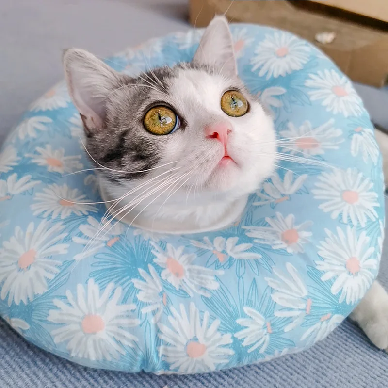 18-30cm Protective Collar for Cat Pet Soft Cotton Wound Healing Collars Pets Dog cat Adjustable Recovery Elizabethan Neck Ring
18-30cm Protective Collar for Cat Pet Soft Cotton Wound Healing Collars Pets Dog cat Adjustable Recovery Elizabethan Neck Ring