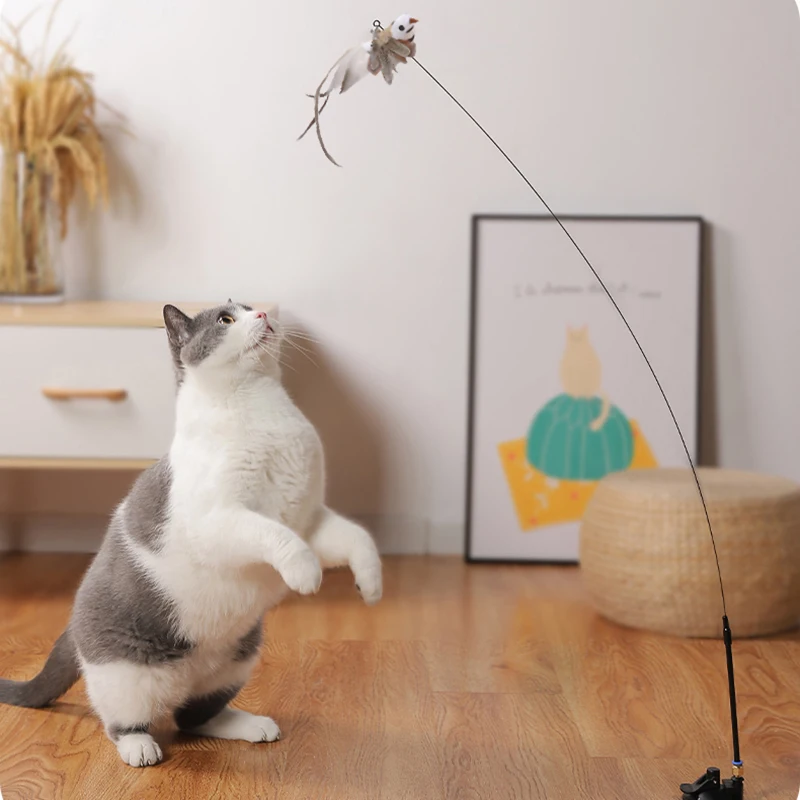 Cat Suction Cup Toy Simulation Bird Interactive Cat Toy Funny Feather Bird with Bell Cat Stick Play Chase Exercise Cat Toy
Cat Suction Cup Toy Simulation Bird Interactive Cat Toy Funny Feather Bird with Bell Cat Stick Play Chase Exercise Cat Toy