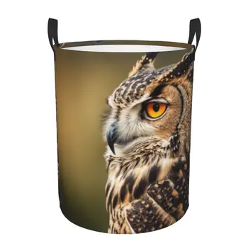 Foldable Laundry Basket for Dirty Clothes Retro Owl Portrait Storage Hamper Kids Baby Home Organizer