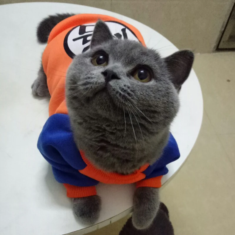 Fashion Pet Cat Costume Summer Cat Vest Hoodie Cozy Mascoats Gotos Clothes for Cats Katten Coat Kedi Clothing Sweatshirt Outfit
Fashion Pet Cat Costume Summer Cat Vest Hoodie Cozy Mascoats Gotos Clothes for Cats Katten Coat Kedi Clothing Sweatshirt Outfit