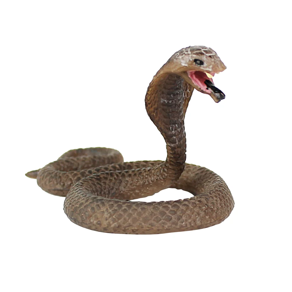 Snake Decorationfor Novelty Figurine Collection King Props Patternrubber Rattlesnakes Desktop Figurines Mongooserealistic Statue
Snake Decorationfor Novelty Figurine Collection King Props Patternrubber Rattlesnakes Desktop Figurines Mongooserealistic Statue