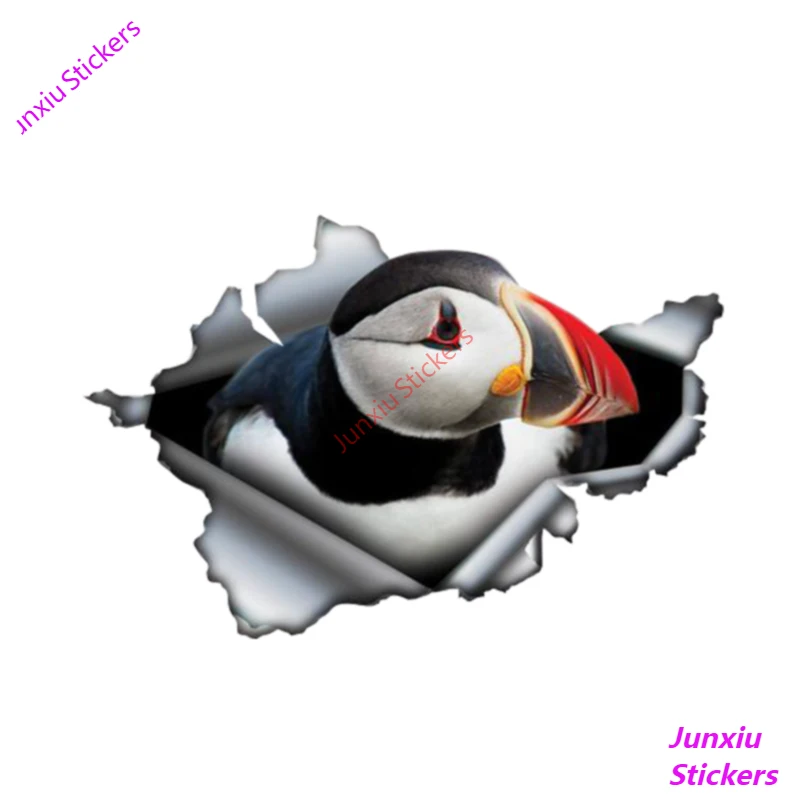 Creative Car Sticke 3D Atlantic Puffin Car Window Decal Accessories Waterproof High Quality Vinyl Cover Scratches PVC 13cm X 9cm
Creative Car Sticke 3D Atlantic Puffin Car Window Decal Accessories Waterproof High Quality Vinyl Cover Scratches PVC 13cm X 9cm