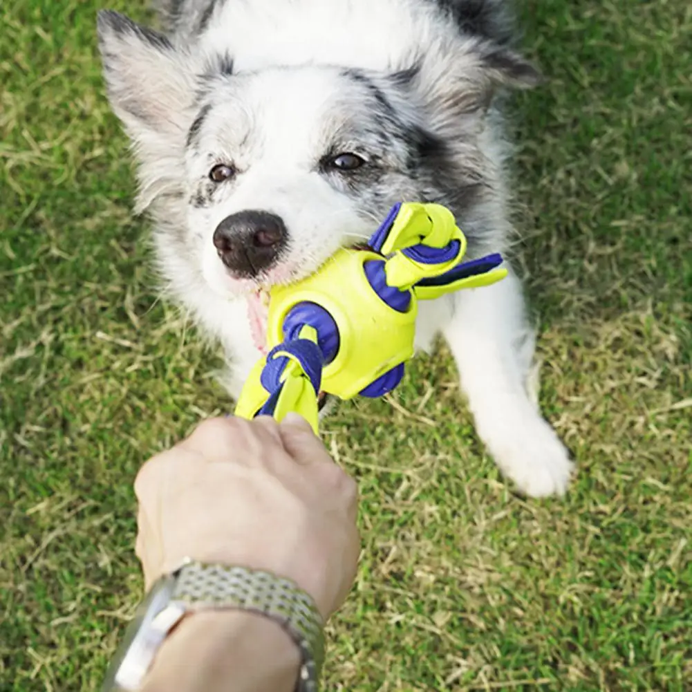 Safe Pet Ball Toy Portable Pet Toy Buoyant Dog Ball Toys on Cotton Rope Interactive Training
Safe Pet Ball Toy Portable Pet Toy Buoyant Dog Ball Toys on Cotton Rope Interactive Training