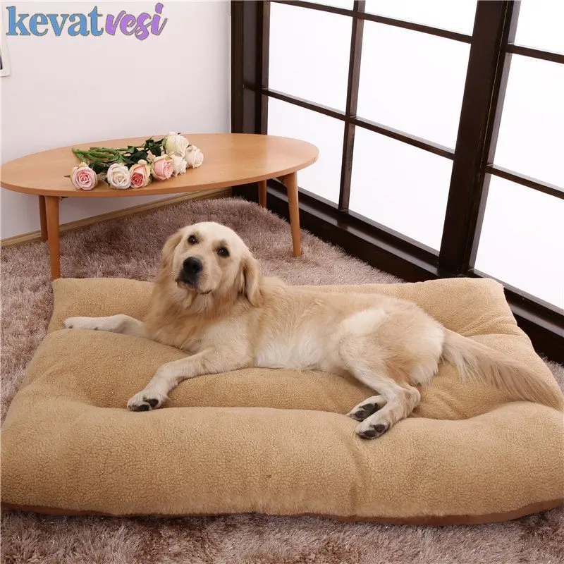 Lambs Wool Dog Bed Winter Warm Dog Mat Comfortable Pet Cushion Detachable Detachable Bed Sleep Sofe for Large Dogs Pet Supplies
Lambs Wool Dog Bed Winter Warm Dog Mat Comfortable Pet Cushion Detachable Detachable Bed Sleep Sofe for Large Dogs Pet Supplies