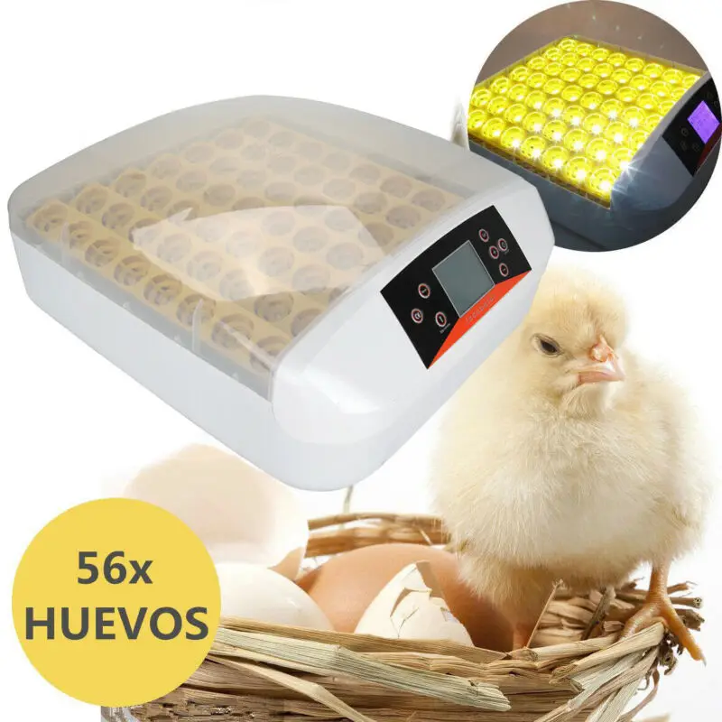 56 egg Incubator LED Fully Automatic For Chicken Quail Brooder Eggs Hatchery Machine 56S
56 egg Incubator LED Fully Automatic For Chicken Quail Brooder Eggs Hatchery Machine 56S