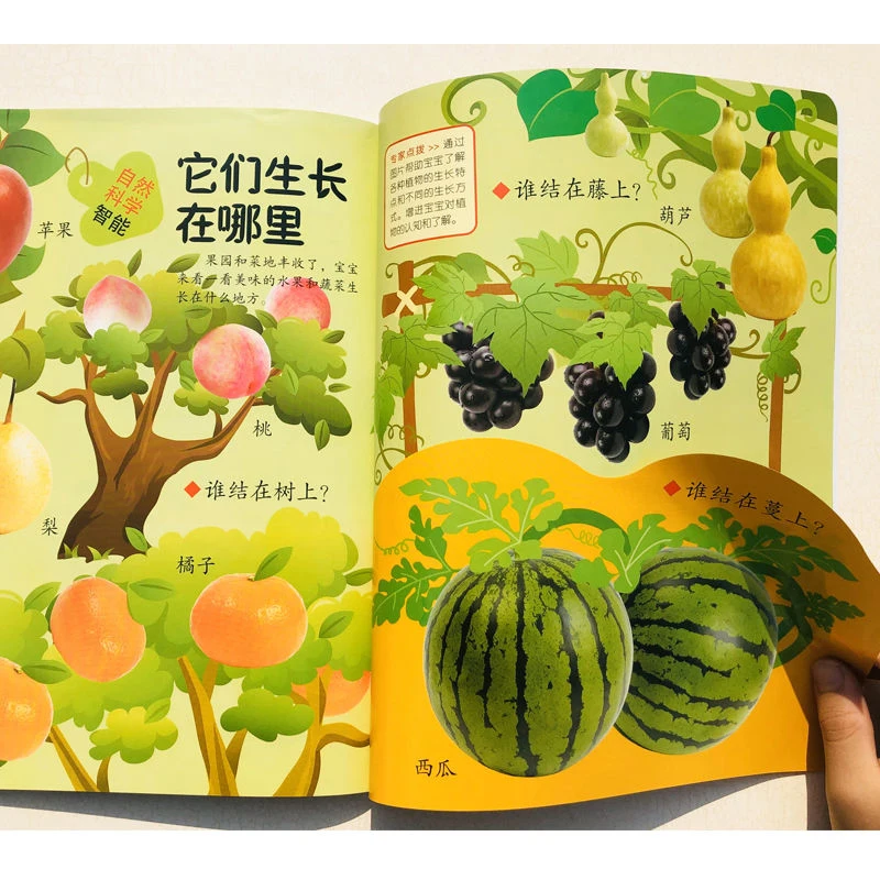 3 Pcs/Set Baby Early Education 0-3 Years Old Children’s Intelligence Whole-Brain Kawaii Livros Enlightenment Picture Book Livres
3 Pcs/Set Baby Early Education 0-3 Years Old Children’s Intelligence Whole-Brain Kawaii Livros Enlightenment Picture Book Livres