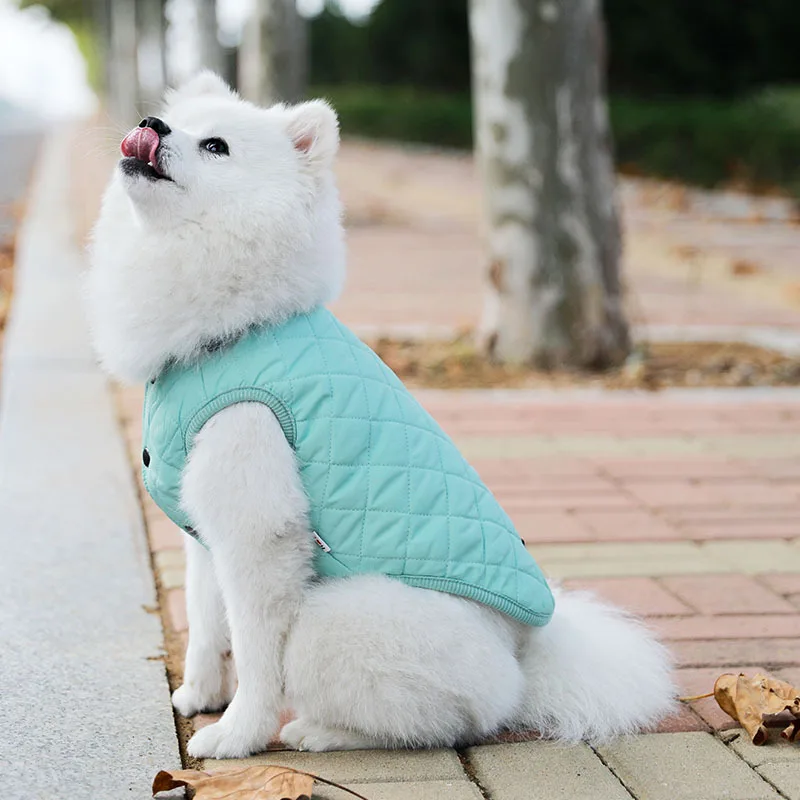 Winter Dog Clothes Thick Warm Dog Hoodie Pet Clothing For Dogs Coat French Bulldog Clothes For Dogs Jacket Pet Outfit Ropa Perro
Winter Dog Clothes Thick Warm Dog Hoodie Pet Clothing For Dogs Coat French Bulldog Clothes For Dogs Jacket Pet Outfit Ropa Perro