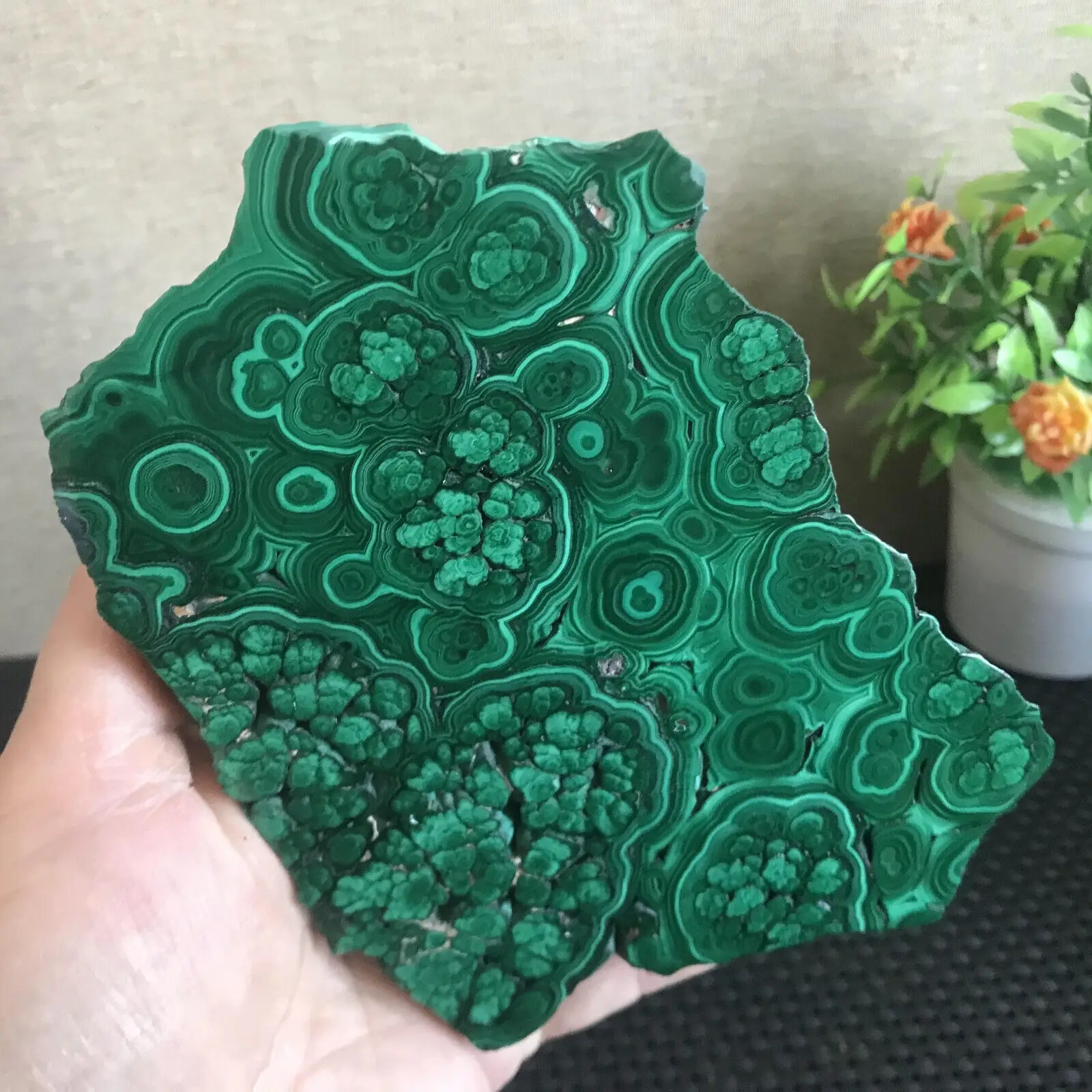 Natural Malachite Slice Quartz Crystal Luster Mineral Specimen Home Decoration
Natural Malachite Slice Quartz Crystal Luster Mineral Specimen Home Decoration