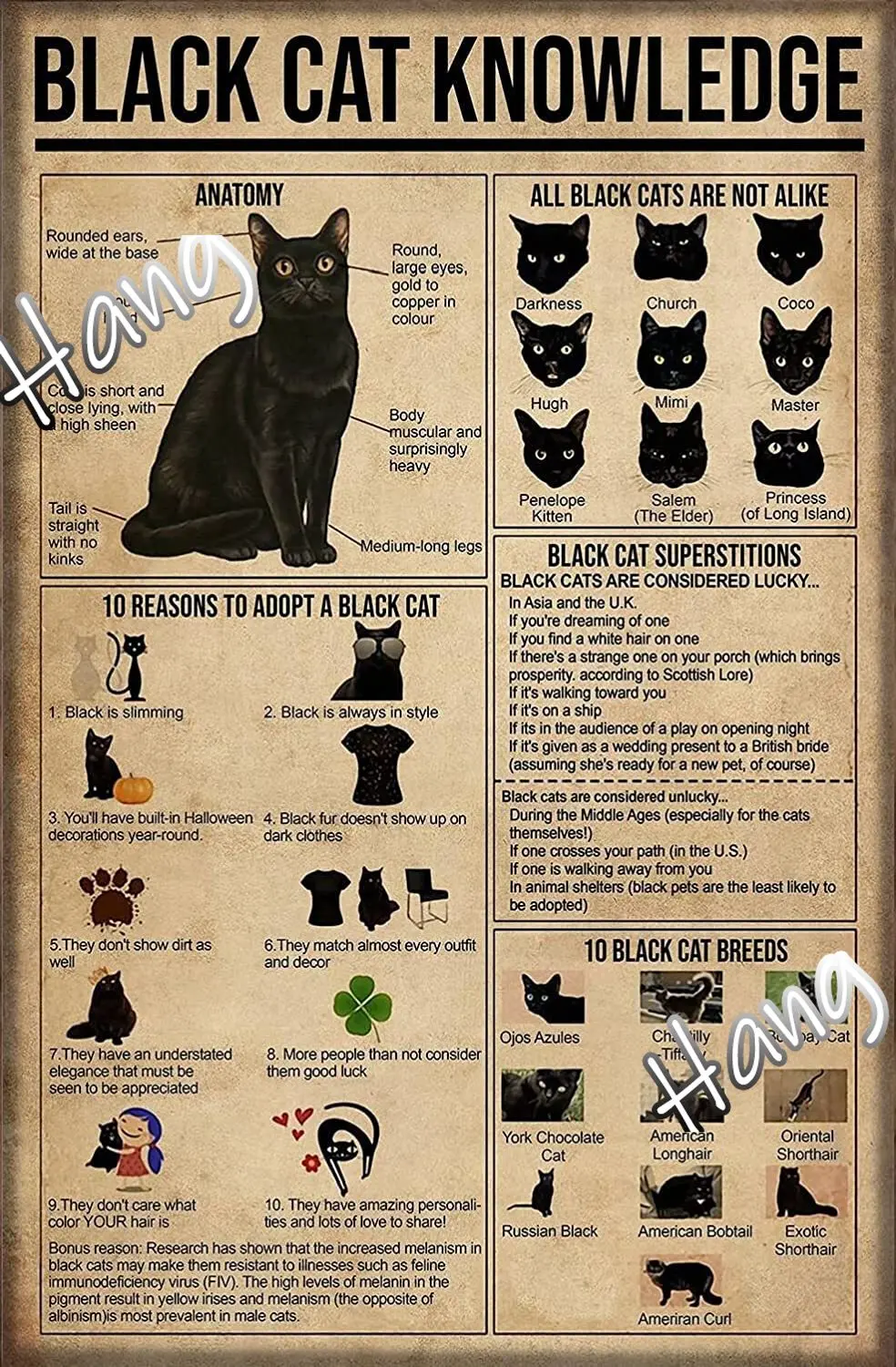 Black Cat Knowledge Tin Sign Black Cat Kitchen Decor Poster Cat Smoke Poster Bar Bathroom Garden Home Outdoor Wall Decoration
Black Cat Knowledge Tin Sign Black Cat Kitchen Decor Poster Cat Smoke Poster Bar Bathroom Garden Home Outdoor Wall Decoration
