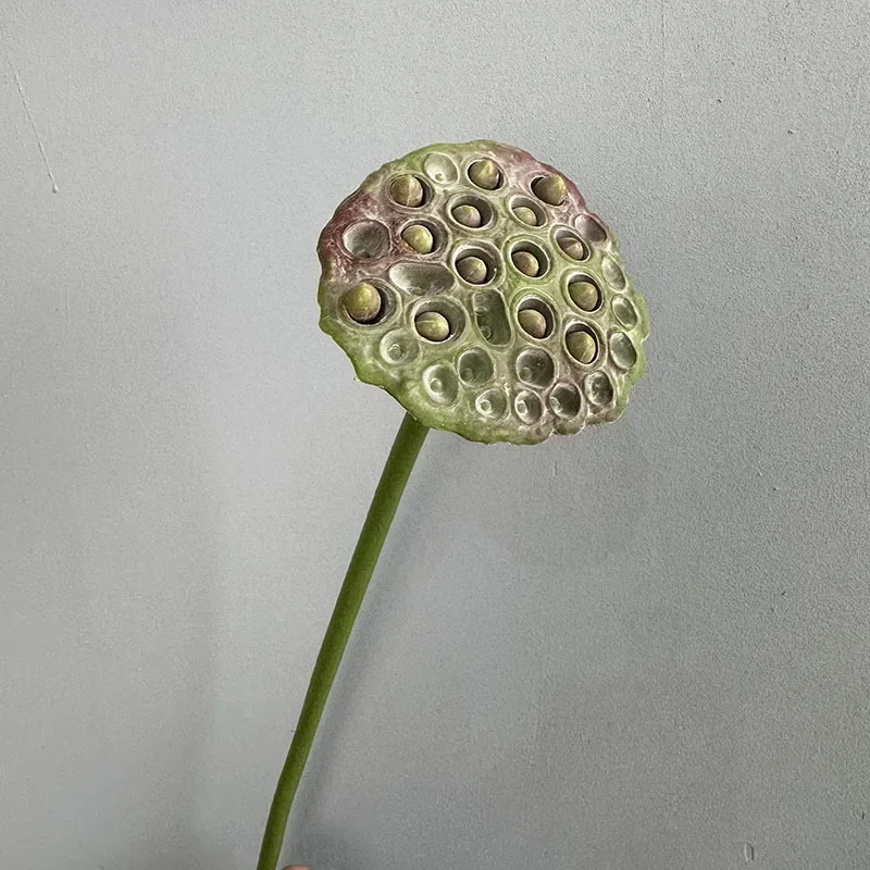 Искусственный навес лотоса Green Aloes
Искусственный навес лотоса Green Aloes