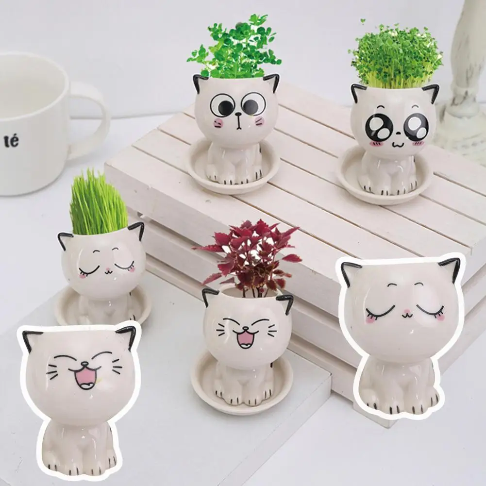 Planting Box Vivid Beautiful Non-slip Plant Pots Practical Anti-cracking Flower Pots
Planting Box Vivid Beautiful Non-slip Plant Pots Practical Anti-cracking Flower Pots