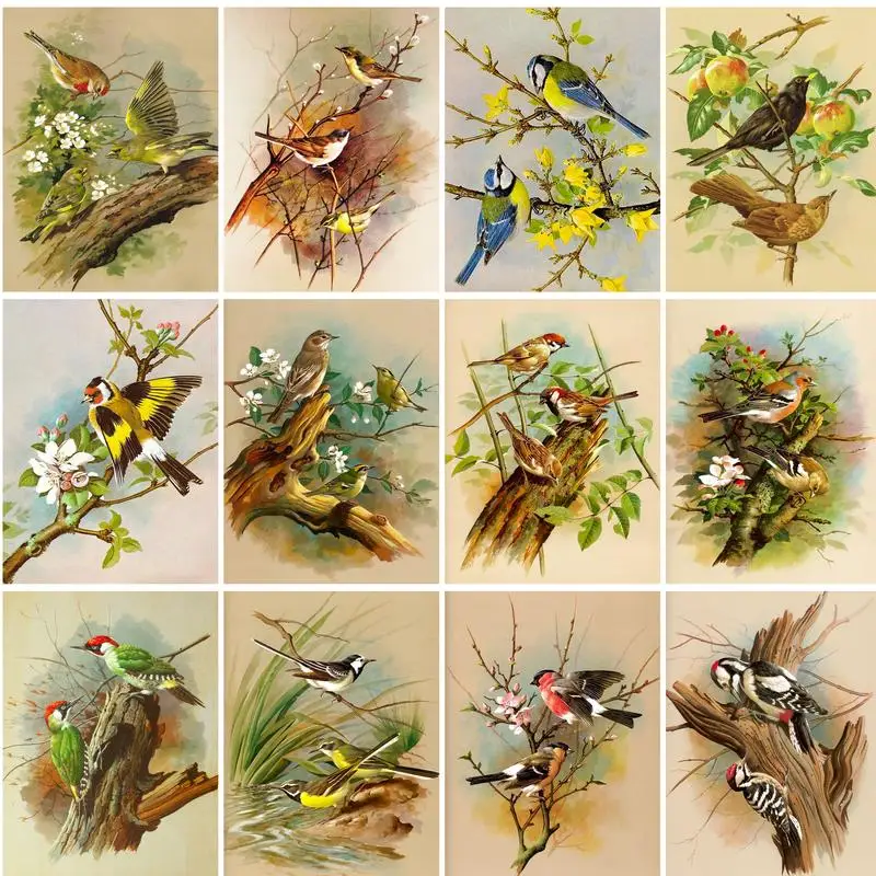 PhotoCustom DIY Frame Bird Animals Painting By Number Modern Handpainted Oil Painting Acrylic Picture By Numbers For Home Decor
PhotoCustom DIY Frame Bird Animals Painting By Number Modern Handpainted Oil Painting Acrylic Picture By Numbers For Home Decor