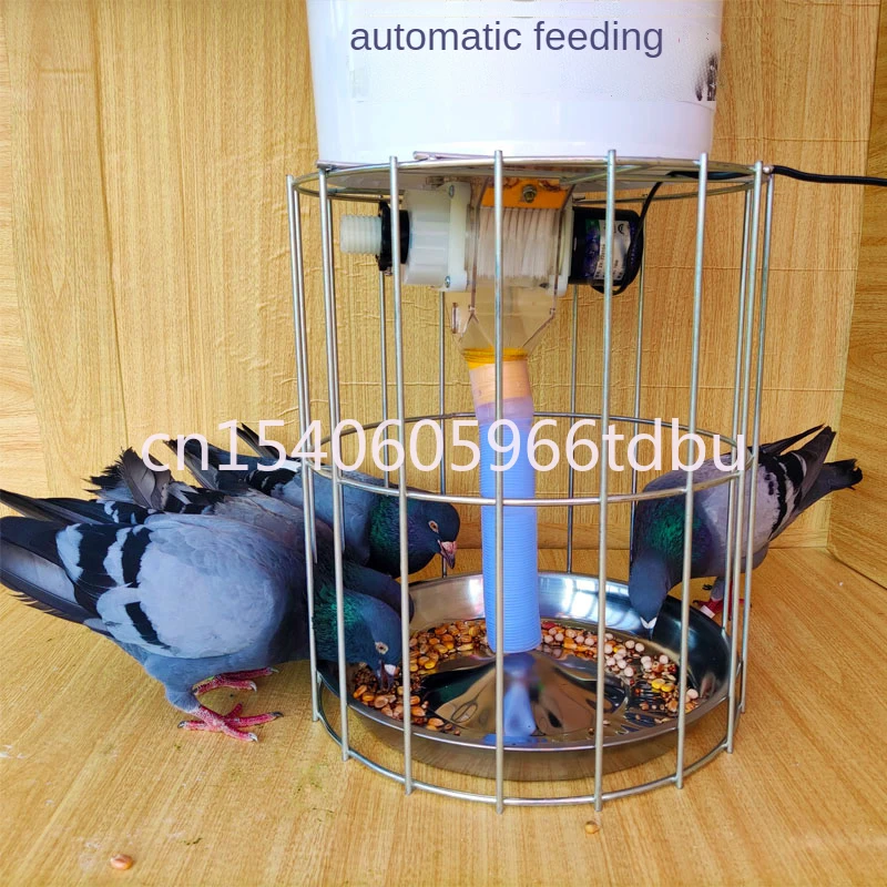 Timing Fixed-point Chicken Pigeon Feeding Artifact 110/220V Pigeon Supplies Utensils Automatic Feeder Pigeon Trough Self-help
Timing Fixed-point Chicken Pigeon Feeding Artifact 110/220V Pigeon Supplies Utensils Automatic Feeder Pigeon Trough Self-help