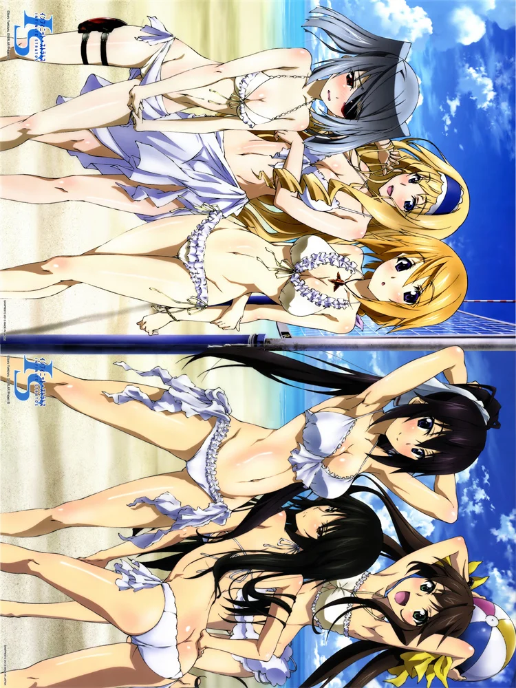 Аниме Laura Bodewig Infinite Stratos, сделай сам, сексуальная фланелевая ткань для офиса, дивана, летнее одеяло, Прямая поставка
Аниме Laura Bodewig Infinite Stratos, сделай сам, сексуальная фланелевая ткань для офиса, дивана, летнее одеяло, Прямая поставка