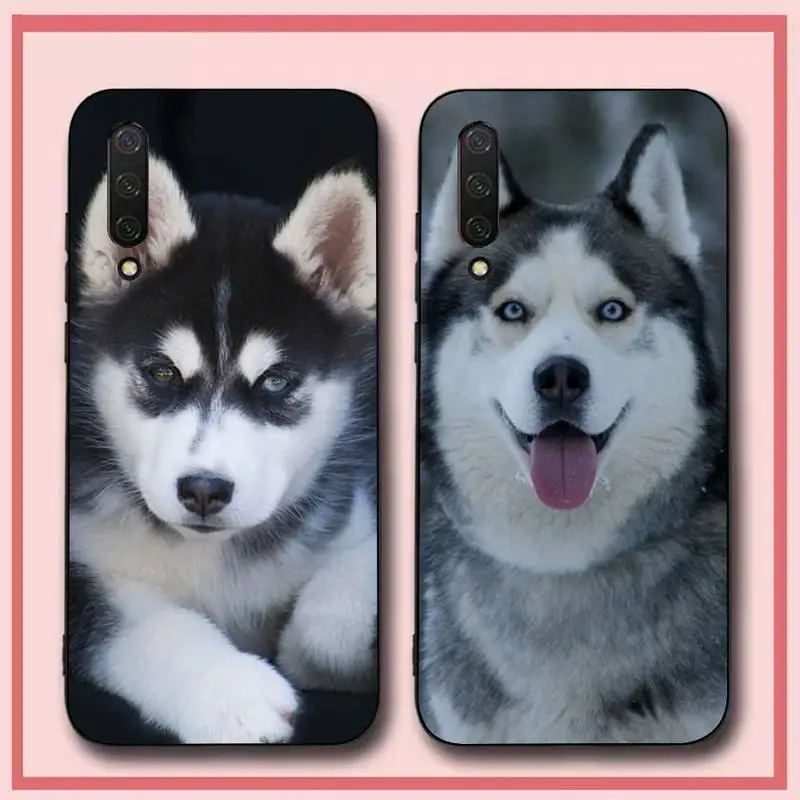 Siberian Husky Sled Dog Phone Case for Xiaomi mi 5 6 8 9 10 lite pro SE Mix 2s 3 F1 Max2 3
Siberian Husky Sled Dog Phone Case for Xiaomi mi 5 6 8 9 10 lite pro SE Mix 2s 3 F1 Max2 3