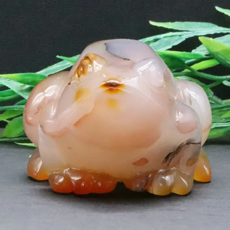 2.8inch 228g Frog Statue Natural Flower Agate Crystal Carved Reiki Healing Quartz Figurine Crafts Home Room Desk Decoration 1pc
2.8inch 228g Frog Statue Natural Flower Agate Crystal Carved Reiki Healing Quartz Figurine Crafts Home Room Desk Decoration 1pc