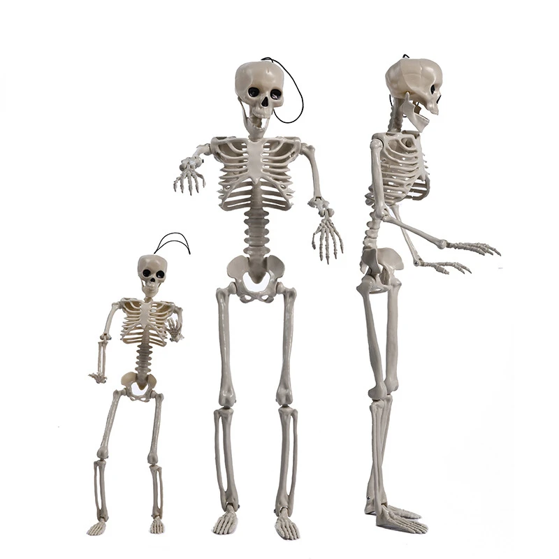 

Подвижная имитация скелета на Хэллоуин 40 см, подвеска, украшение для дома, декор для бара, дом с привидениями, реквизит из страха, украшение