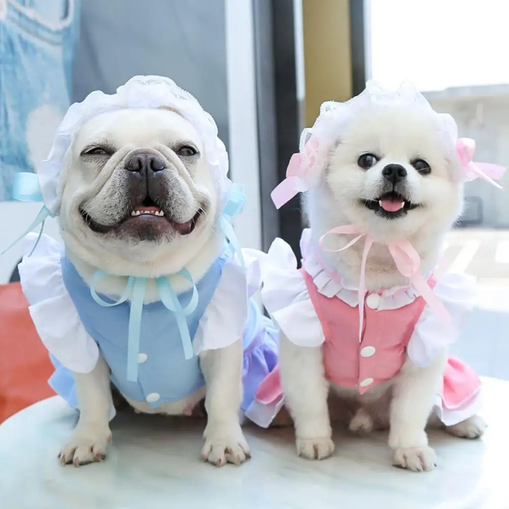 PETWTILTIH Pet Skirt Maid Style Pleated Hemming with Cap Lolita Clothing Dog Small Costume for Home Wear
PETWTILTIH Pet Skirt Maid Style Pleated Hemming with Cap Lolita Clothing Dog Small Costume for Home Wear