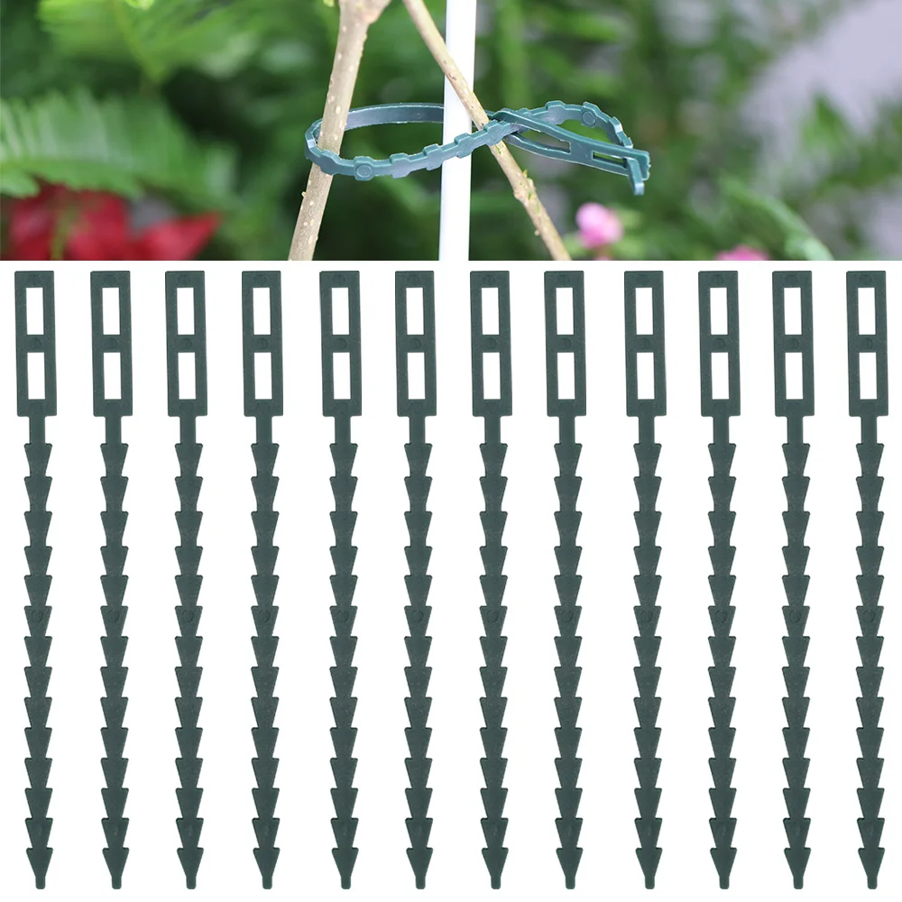 4 Sizes Reusable Well-knit Army Green Cable Ties for Plants Adjustable Nylon Locking Ribbon Support Tree Shrub Fastener Line
4 Sizes Reusable Well-knit Army Green Cable Ties for Plants Adjustable Nylon Locking Ribbon Support Tree Shrub Fastener Line