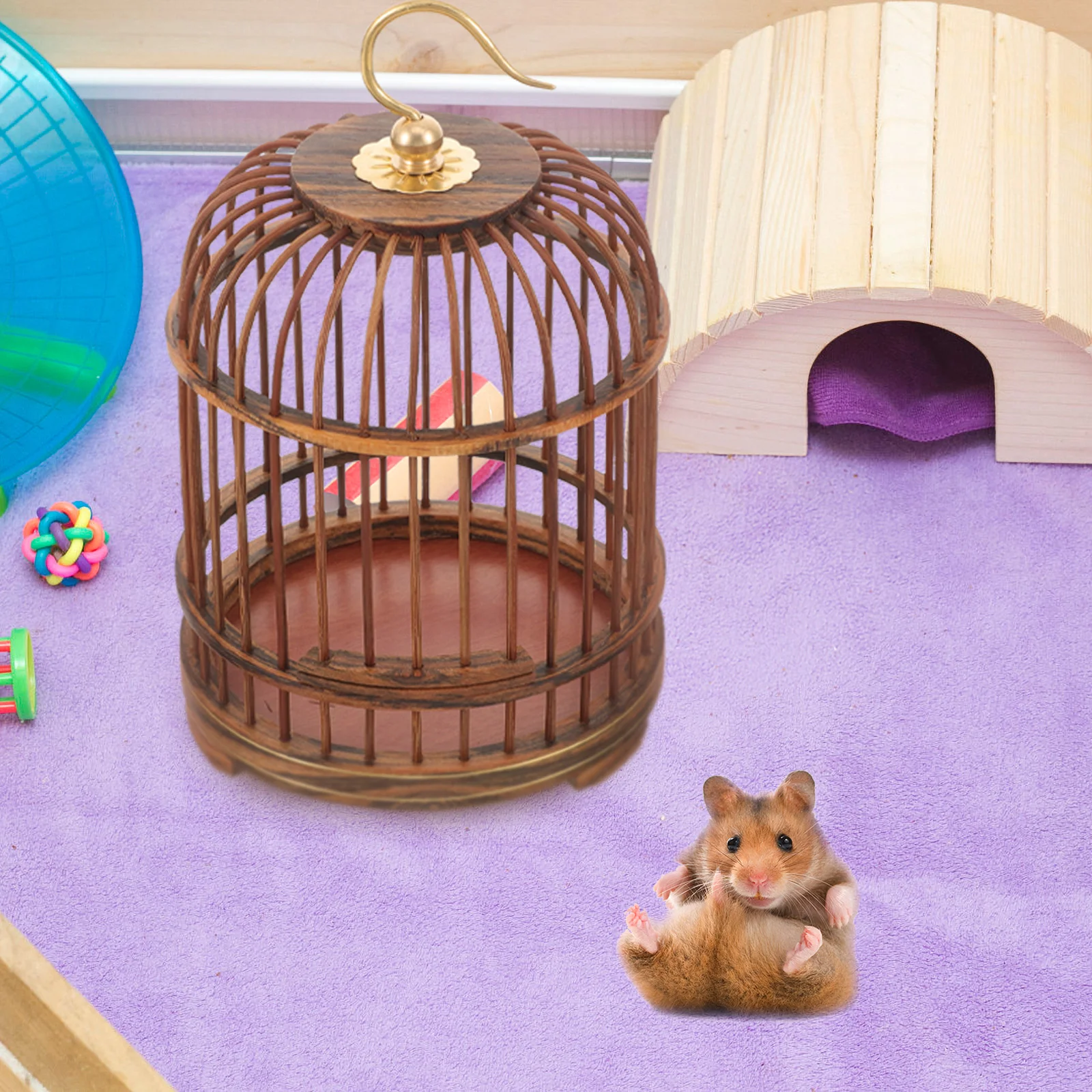 Hanging Bird Cage Hanging Insect Cage Vintage Bird Cage Hanging Cage for Bird Insects Small Pets
Hanging Bird Cage Hanging Insect Cage Vintage Bird Cage Hanging Cage for Bird Insects Small Pets