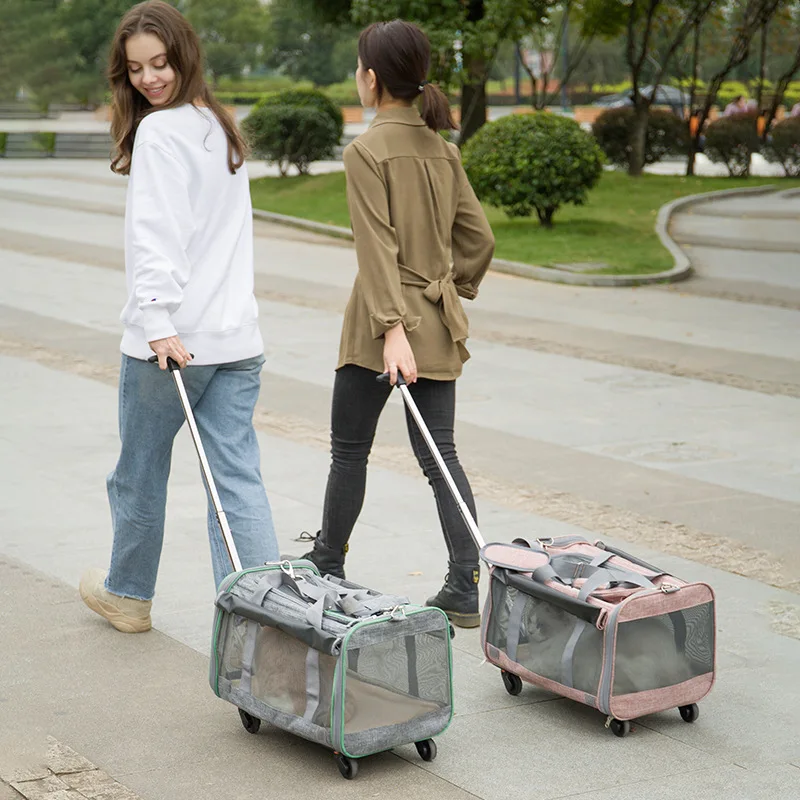 Trolley Car Pet Bag Waterproof Folding Dog Cat Seat Travel Bag Car Puppy Tote Bag Cushion Cover Safety Basket Pet Supplies
Trolley Car Pet Bag Waterproof Folding Dog Cat Seat Travel Bag Car Puppy Tote Bag Cushion Cover Safety Basket Pet Supplies
