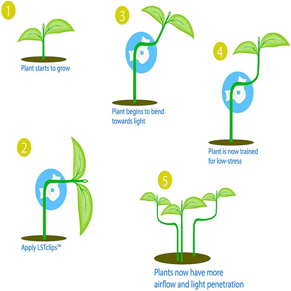 Brand New Durable High Quality Practical Branch Bender Plant Reusable ABS Adjustable Plant Bender Plant Supports
Brand New Durable High Quality Practical Branch Bender Plant Reusable ABS Adjustable Plant Bender Plant Supports