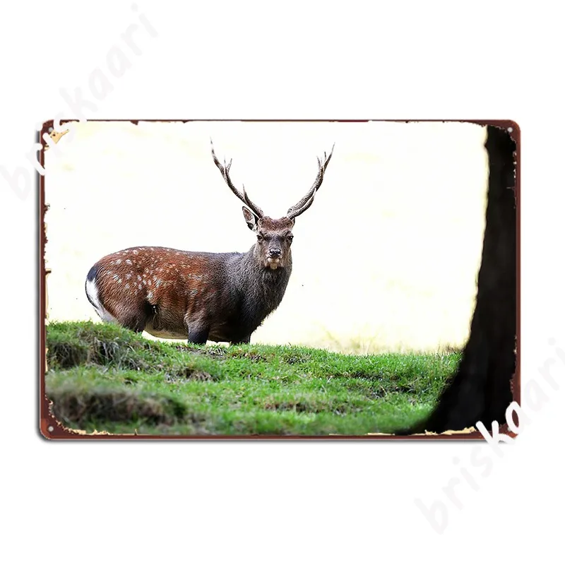 Металлический плакат с оленем, винтажное украшение для вечерние НКИ, паба, гаража, оловянный плакат с знаком
Металлический плакат с оленем, винтажное украшение для вечерние НКИ, паба, гаража, оловянный плакат с знаком