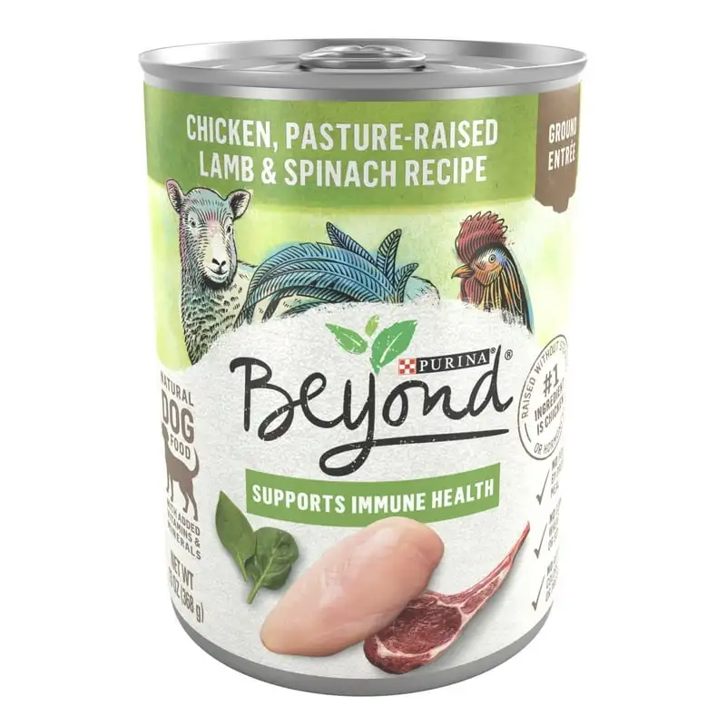 Support Immune Health Wet Dog Food Chicken Lamb Spinach, 13 oz Cans (12 Pack)
Support Immune Health Wet Dog Food Chicken Lamb Spinach, 13 oz Cans (12 Pack)