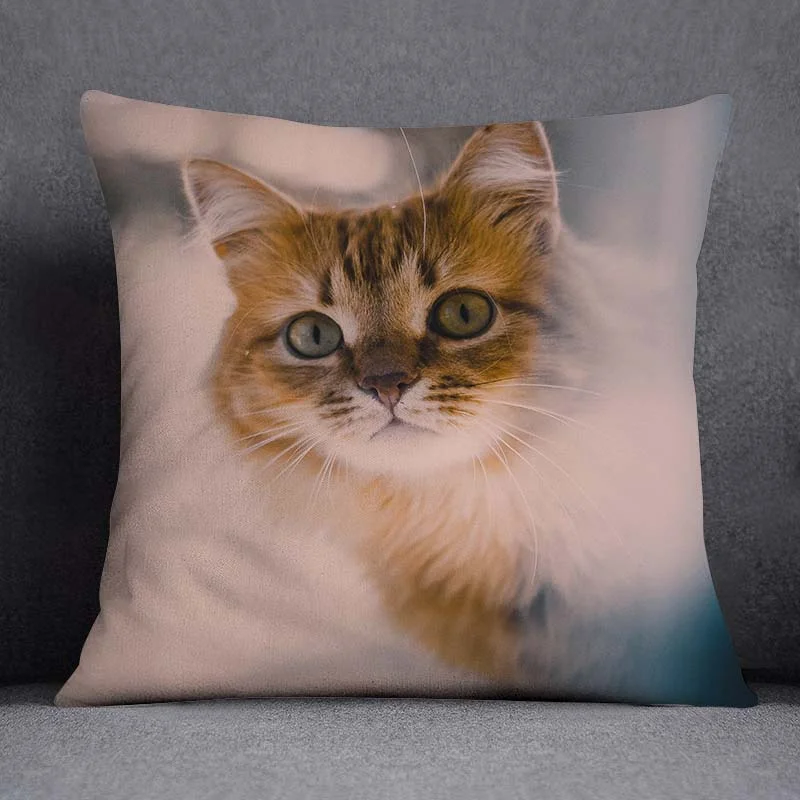 Декоративная наволочка Cat, полиэстер
Декоративная наволочка Cat, полиэстер